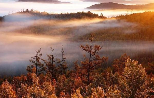 〔七律〕暮秋感懷 〔七律〕暮秋感懷