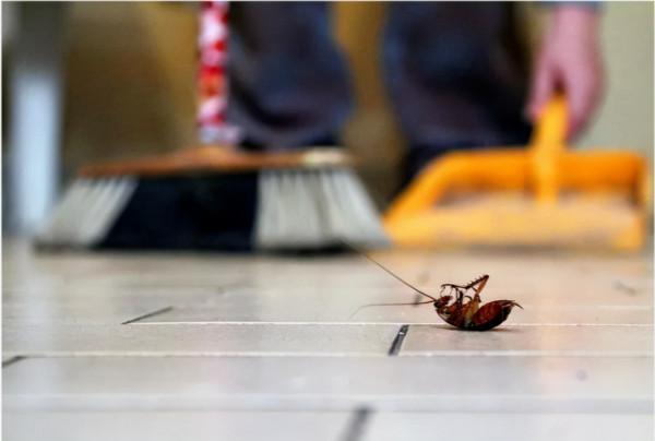 24個冷知識:或許看起來令人匪夷所思,但卻有科學依據的奇怪知識 24個冷知識:或許看起來令人匪夷所思,但卻有科學依據的奇怪知識