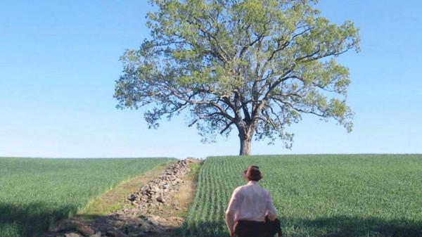 因銷售不及預期,元氣森林調低估值 25% 因銷售不及預期,元氣森林調低估值 25%