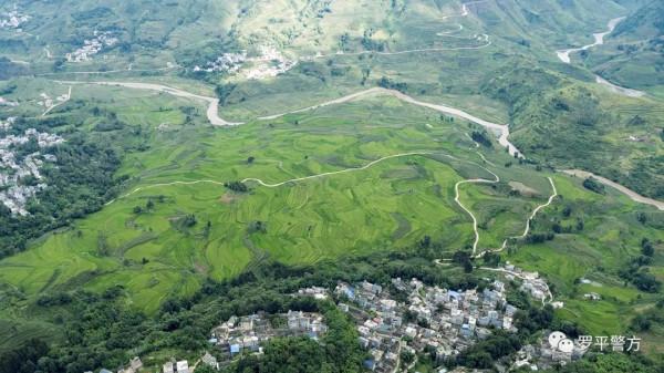 它來自阿洪 它來自阿洪