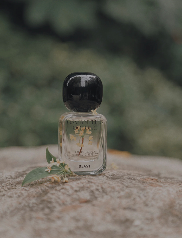 為秋天而生的5支香水,高階不“街香”,有品味又有檔次 為秋天而生的5支香水,高階不“街香”,有品味又有檔次