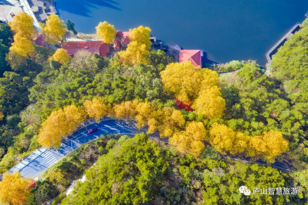 一聲梧葉一聲秋，廬山開啟七彩秋色模式