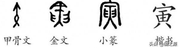 淺談十二地支的起源 淺談十二地支的起源