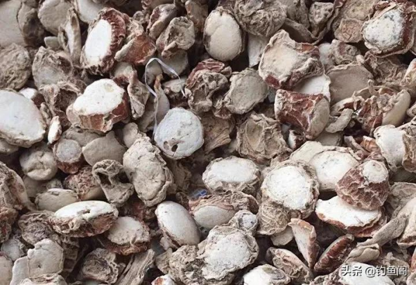 當山奈遇上丁香,一款簡單又好用的釣魚藥酒就誕生了 當山奈遇上丁香,一款簡單又好用的釣魚藥酒就誕生了