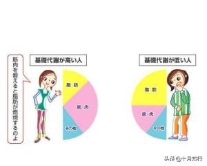 什麼是平臺期，減肥為什麼會出現平臺期，如何儘快突破？