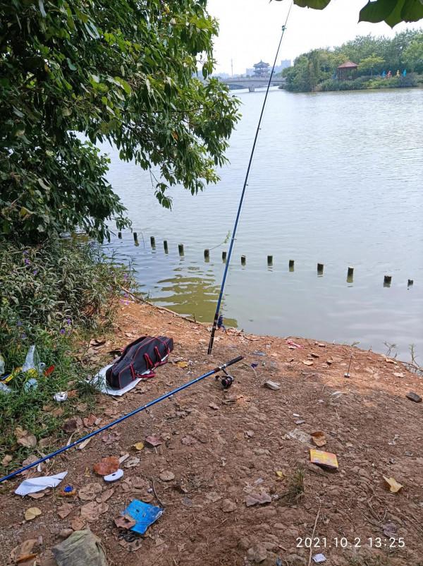 菜市場啥樣的魚沒有，幹嘛還要去河邊釣魚呢？