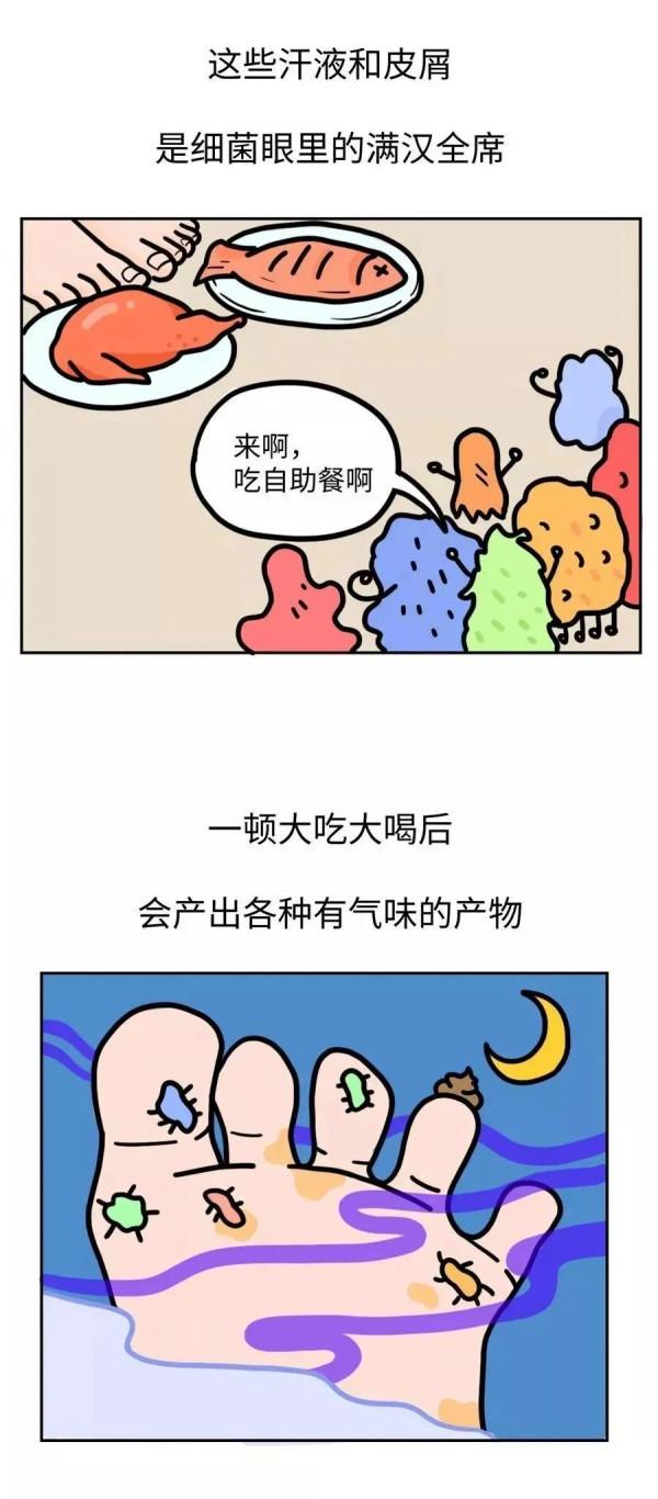 漫畫科普：何為“毒腳獸”？臭味熏天，氣衝霄漢是也！