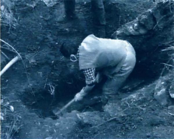 1997年，中科院對“猴娃”進行屍檢，研究者：它是小腦症患者