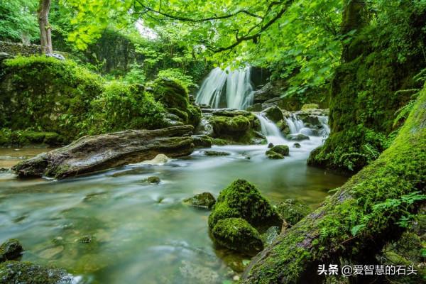 莫言：如何對待“不喜歡”你的人？記住這三句話