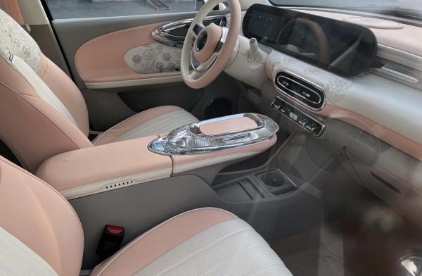 長城尤拉芭蕾貓實車到店，外觀很復古可愛，續航可達500公里