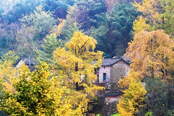 豫鄂交界深山村走出兩位開國將軍，濃濃秋色中掩藏很多感人的故事