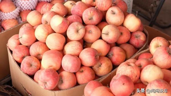 獨庫公路遊古城！新疆自駕攻略（下）