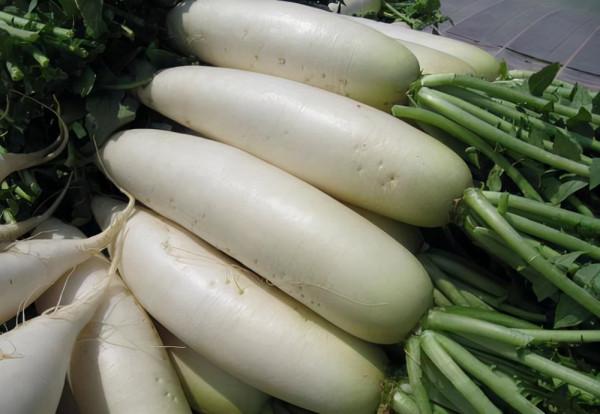 老話說“冬日進補，來年打虎”，滋補身體，牢記“3宜、3不宜”