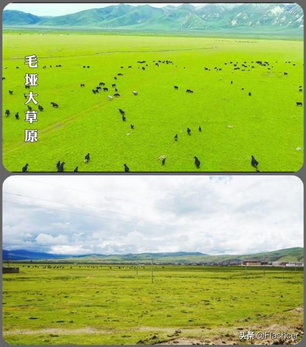 四川最值得去的20處景點，推薦理由及遊玩攻略