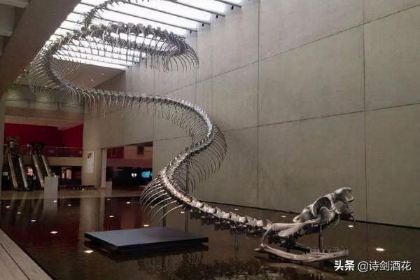 為什麼很多人都怕蛇？科學家曾用7個月大嬰兒做實驗尋找答案