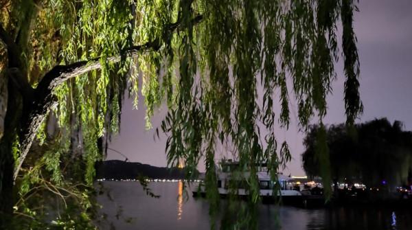 「散文」青燈一卷書，煮茶聽雨忘浮名