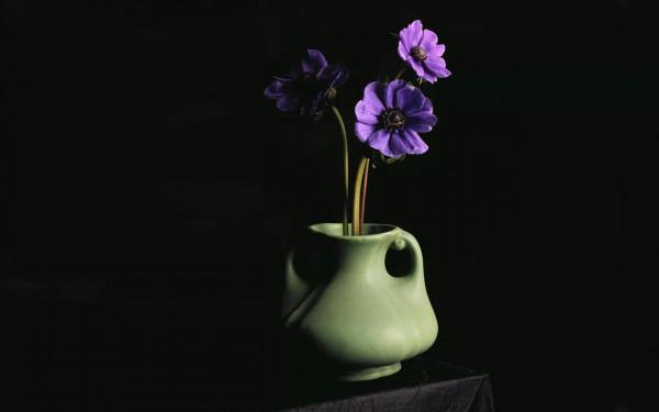 散文：歲末年初，情已過往，待到春時，與君相望