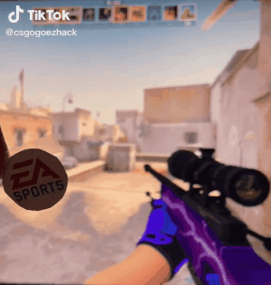 為了讓盲狙更準，FPS玩家能在顯示器上搗鼓出多少花樣