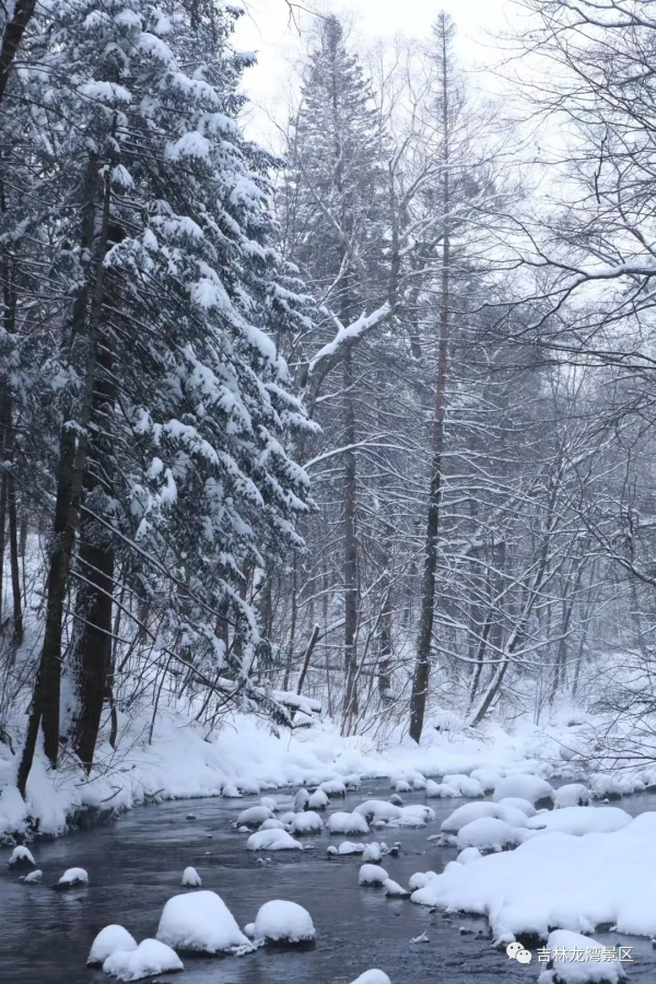 這樣的吊水壺，你愛了吧