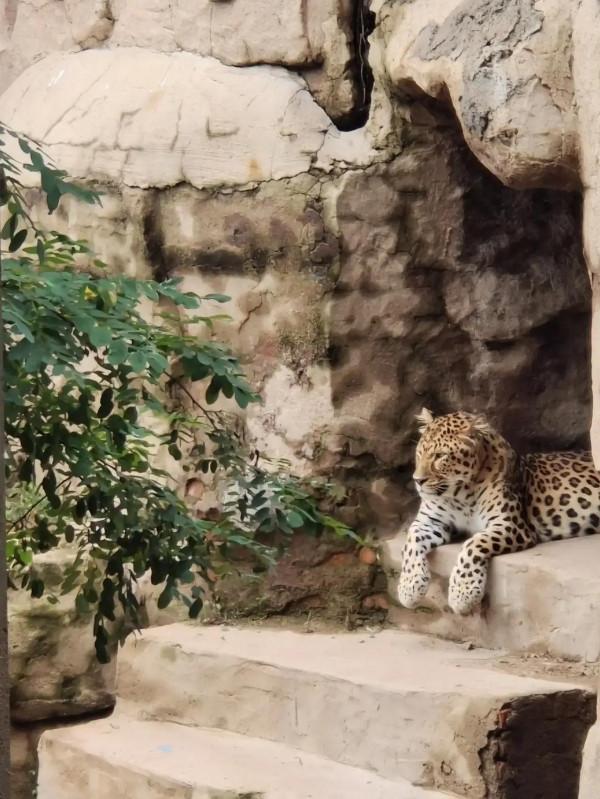 (散文)太原有個鐵三局 (散文)太原有個鐵三局