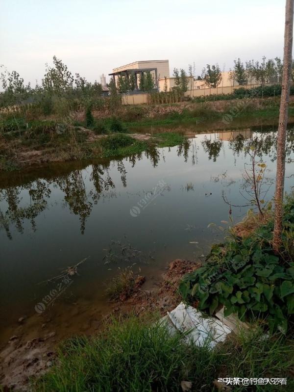 夜釣,上半夜好還是下半夜好?歡迎大家來探討 夜釣,上半夜好還是下半夜好?歡迎大家來探討