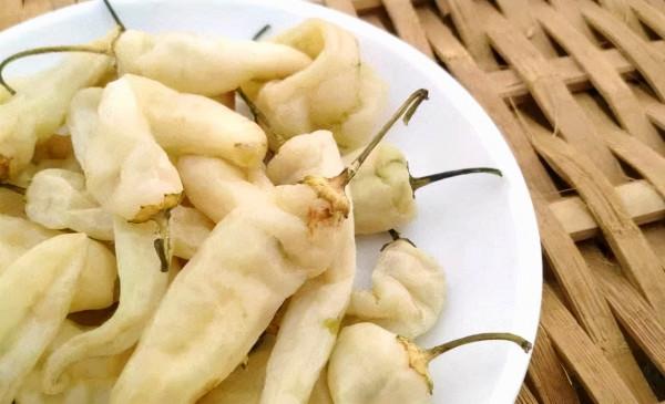 這幾種廉價蔬菜曬乾後,好吃又美味,儲存時間長,用來炒肉真香 這幾種廉價蔬菜曬乾後,好吃又美味,儲存時間長,用來炒肉真香