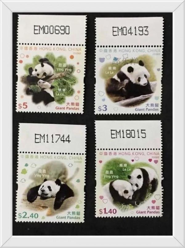 中國的國寶——大熊貓