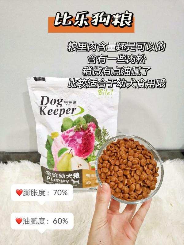 書都翻爛終於找到的測出好狗糧方法