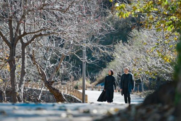 他們的家坐擁10000棵松樹，全北京絕無僅有