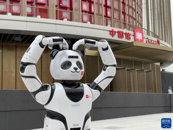 國際熱圖：2021年9月29日-2021年10月11日