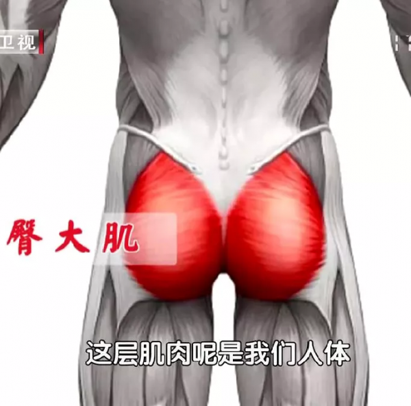 跌倒成65歲以上老人的“頭號殺手”!學會三招,遠離致命一跌 跌倒成65歲以上老人的“頭號殺手”!學會三招,遠離致命一跌