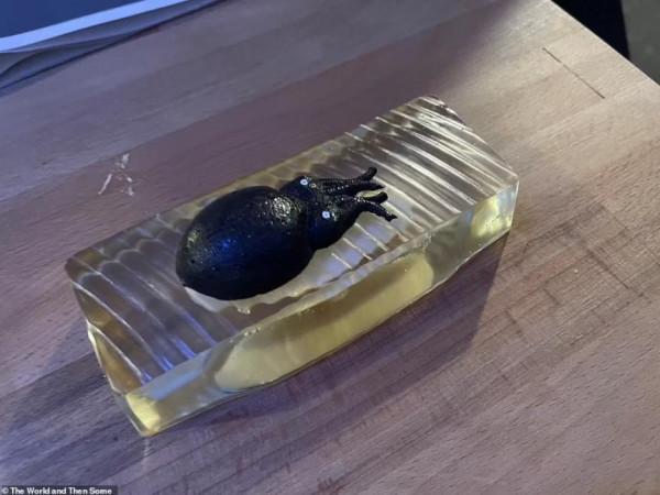 外國博主吐槽最糟米其林，27道奇葩菜，還要從主廚“嘴”裡舔著吃