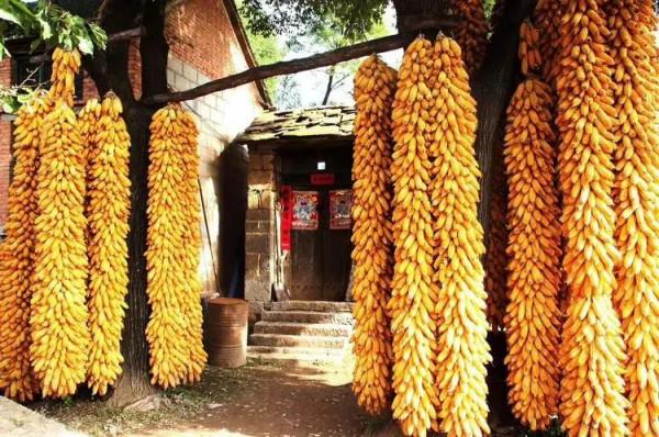 林慮山一一千瀑溝記