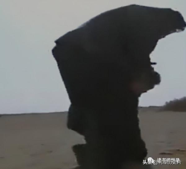 老故事：科學家彭加木神秘消失在羅布泊，竟是叛逃去了美國