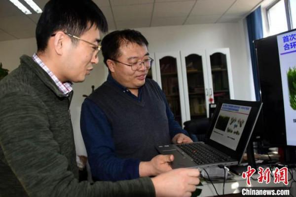 中國科學家光合作用基礎研究獲重大突破 首次解析大麥關鍵結構