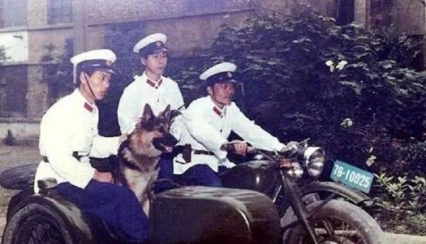 智捕戴笠貼身警衛：巧用蛛絲馬跡，千里之外鎖定瀋陽一家雜貨鋪