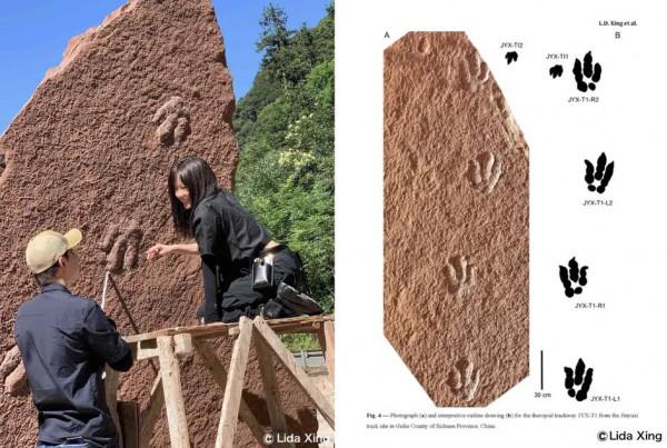 四川恐龍新物種叫「大雄」，學者是哆啦A夢粉絲