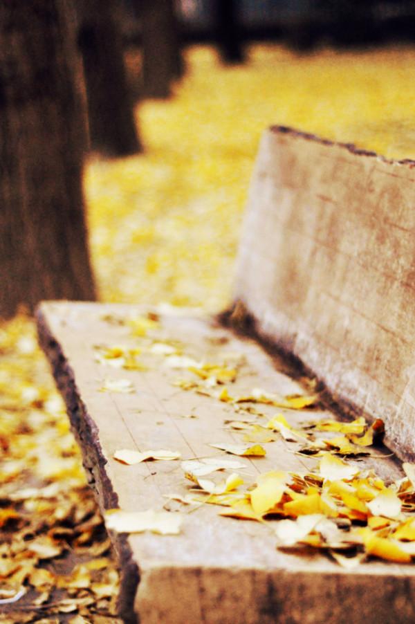 散文:十月深秋,用深情寫意人生 散文:十月深秋,用深情寫意人生