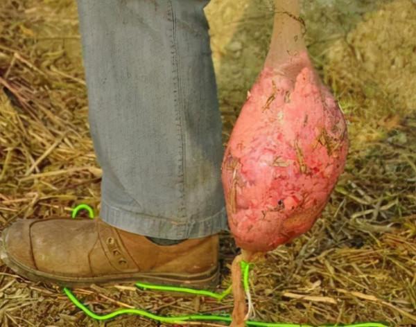 生活小物品讓釣魚更簡單 生活小物品讓釣魚更簡單
