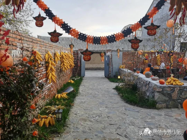 坐小火車穿行玉米地,和擎天柱合影~在北京寶藏民宿裡過萬聖節 坐小火車穿行玉米地,和擎天柱合影~在北京寶藏民宿裡過萬聖節