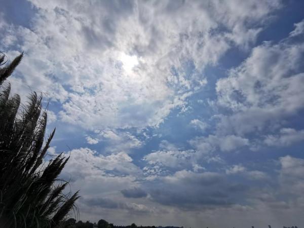 東湖一日遊 東湖一日遊