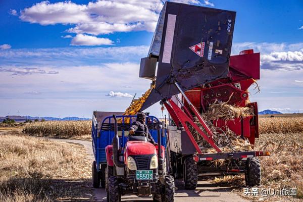 今日秋分 | 豐收的季節來了，金色田野惹人醉