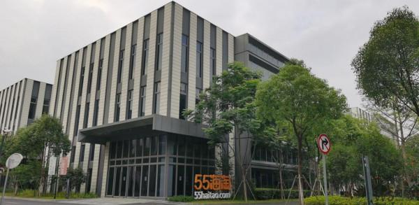 55海淘顧軍林：深耕跨境行業 立足全球市場（網經社訪談系列）