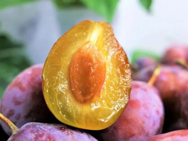 入秋後，不管有錢沒錢，這8種秋果要常吃，潤肺降燥，應季而食