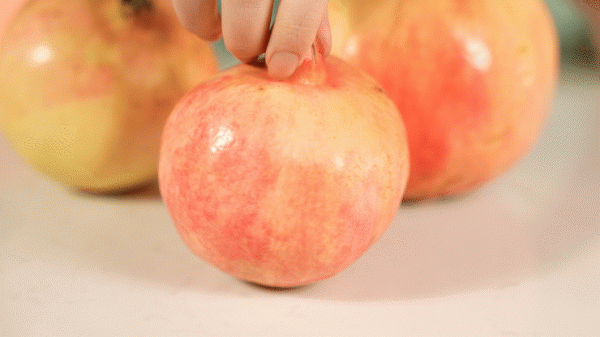 28斤！我們在拼多多上用100塊實現了水果自由