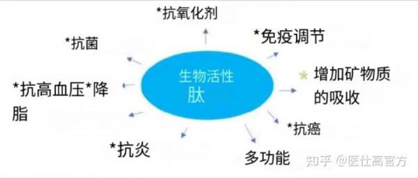 對付過敏,“肽”好用 對付過敏,“肽”好用