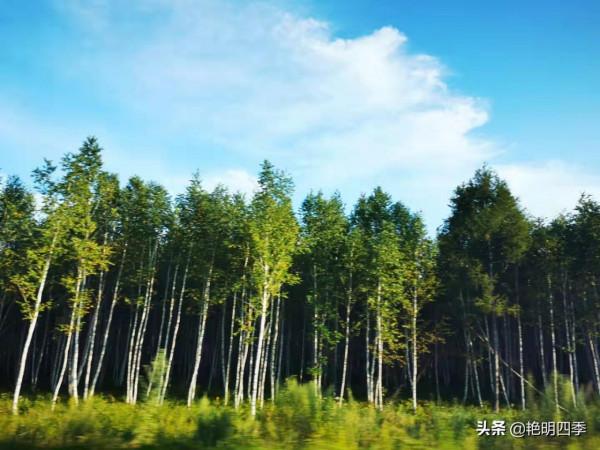 從東極到北極,走G331穿越沿途美景無數(東北邊境行之十二) 從東極到北極,走G331穿越沿途美景無數(東北邊境行之十二)