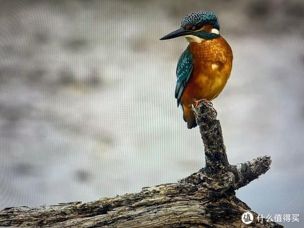 創作本之間的比拼！MacBook Pro 2021款對比華碩ProArt 16