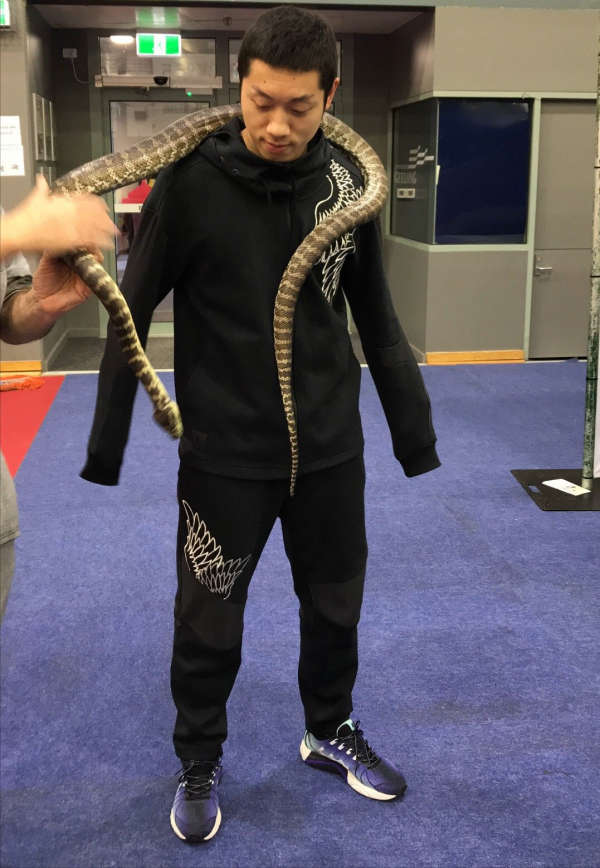 國乒考古（3），一圖一故事之里約三劍客