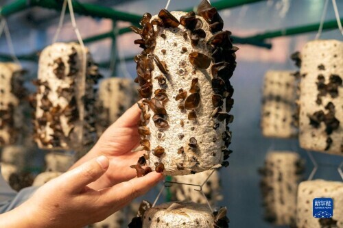 國家“十三五”科技創新成就展在京開幕